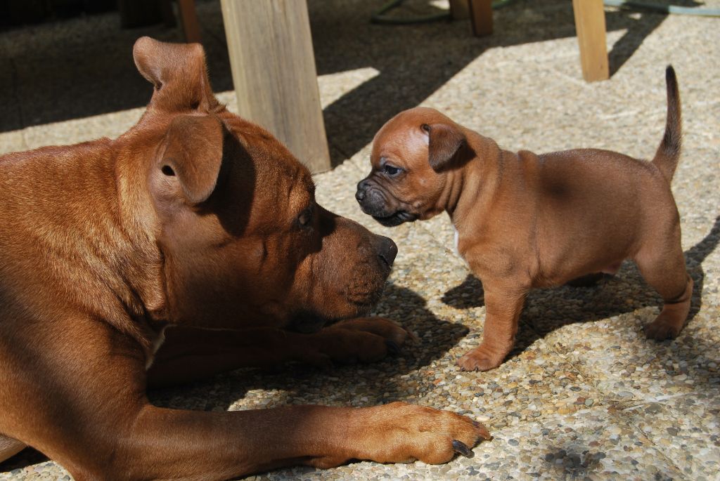 Les bébés de Love et Jake ont 1 mois